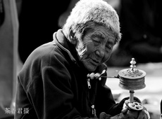 茶香君佛教摄影作品