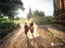 2013年亚洲佛教最佳摄影作品《追寻生命的脚印》