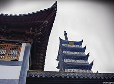 佛教摄影网-作者如英《上海真如寺》