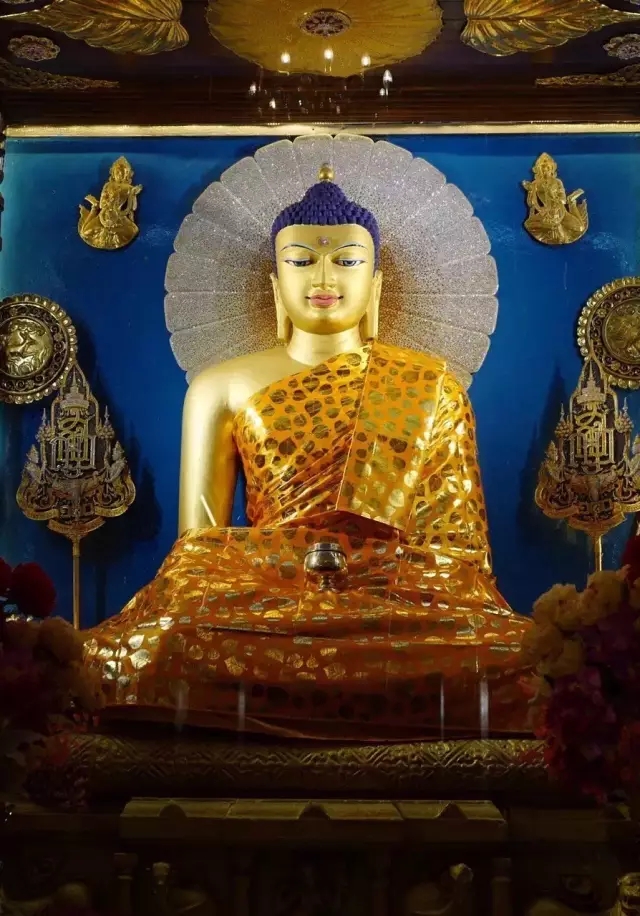 ��2016��֮·��ѧ֮�ûع�01�����Ӱ����ӣ���Ϊʲô��������ϸ˼���ֵĹ��ȣ�