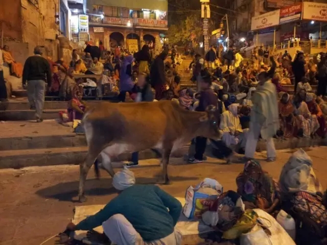 ��2016��֮·��ѧ֮�ûع�01�����Ӱ����ӣ���Ϊʲô��������ϸ˼���ֵĹ��ȣ�