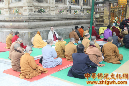 朝圣团部分成员在佛成道的菩提树下禅坐
