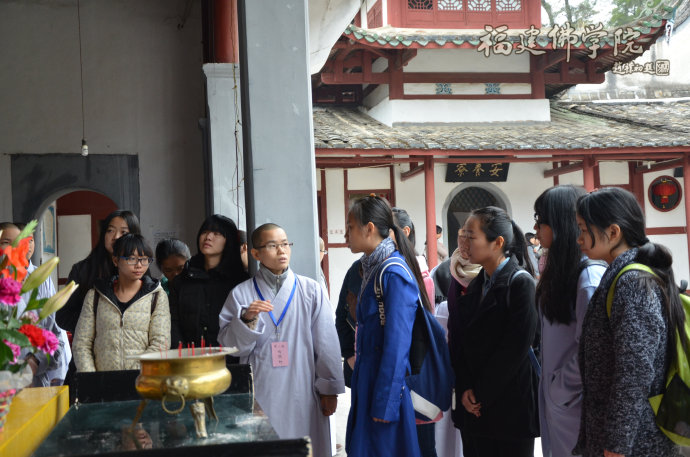 学生们通过寺院巡礼等活动，对佛教文化和传统文化进行深入了解.jpg