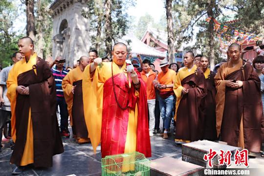 四月八少林寺僧众举行浴佛节大法会（图）