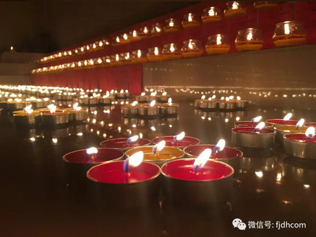 2017�����������ʥ������������ʥ�����ƻع�