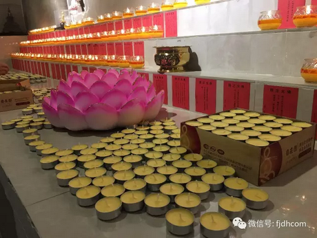 2017�����������ʥ������������ʥ�����ƻع�