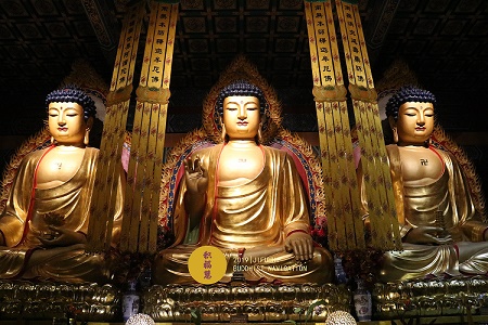 ����Ĳ�������գ������۹��ƹ��ޣ���Բ����