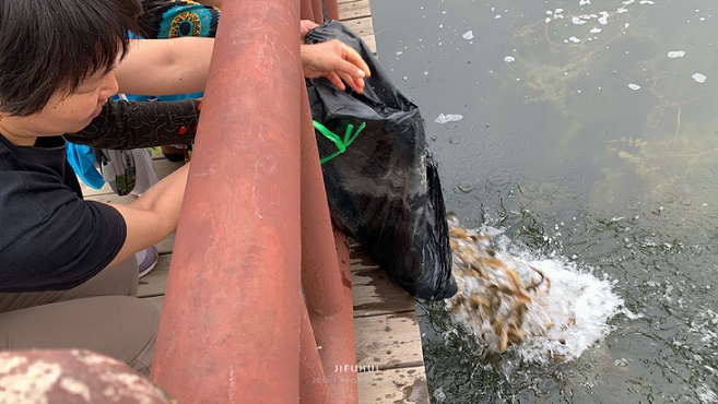 ��������������������ڷ������ޣ�����Բ����