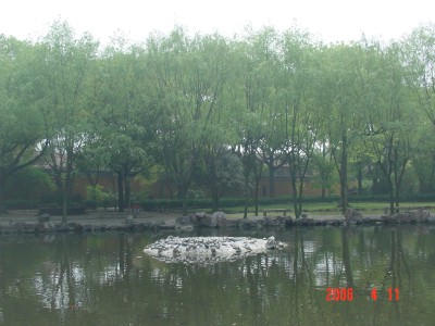 点击图片可在新窗口打开