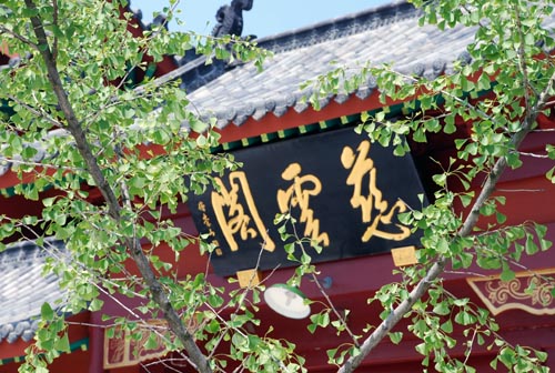 第五届禅文化夏令营