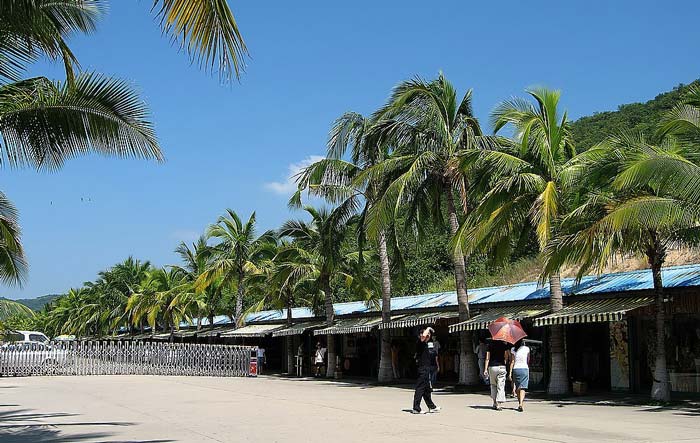 按此在新窗口浏览图片