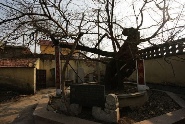 按此在新窗口浏览图片