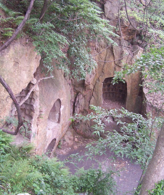 按此在新窗口浏览图片