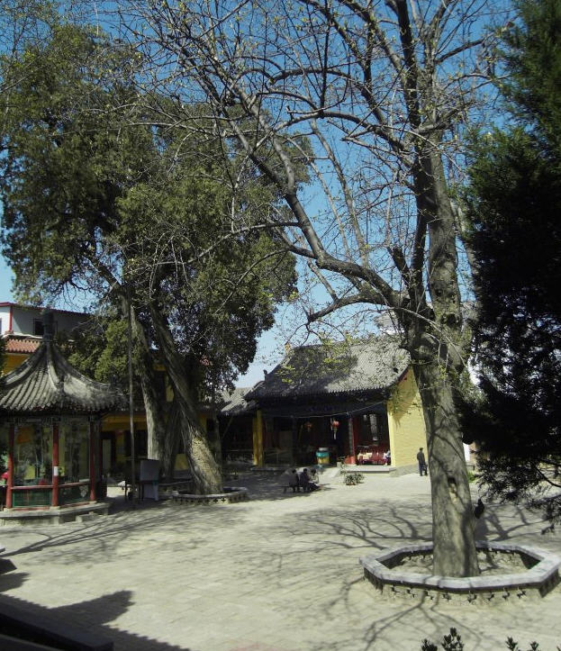 按此在新窗口浏览图片