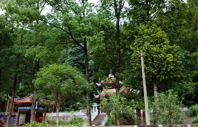 按此在新窗口浏览图片