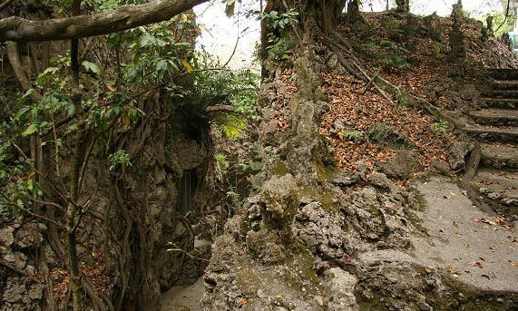 按此在新窗口浏览图片