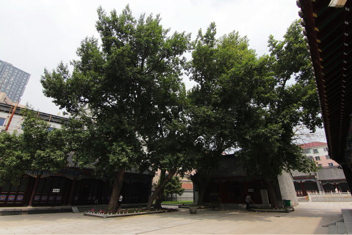 按此在新窗口浏览图片