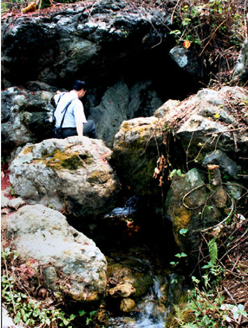 按此在新窗口浏览图片