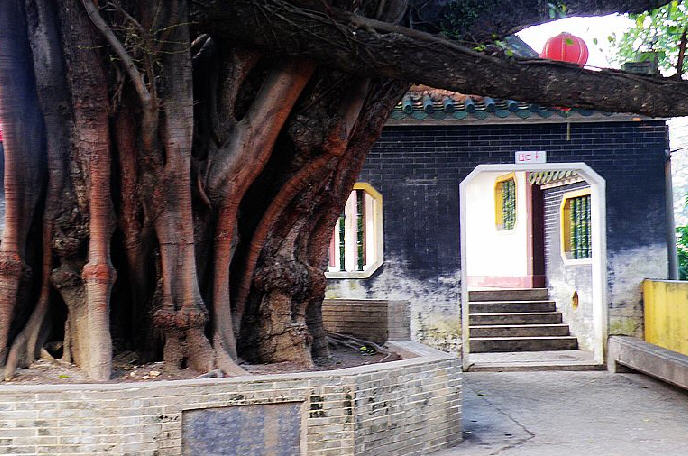 按此在新窗口浏览图片