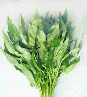 空心菜:通便解毒的作用