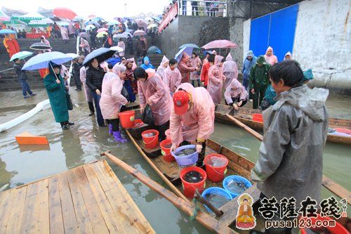 放生法会现场 放生法会现场