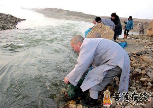 放生过程 放生过程