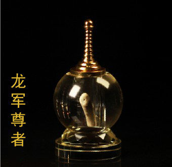 龙军尊者 龙军尊者
