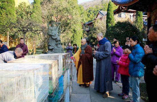 慧日禅寺于帝释天王圣诞践行佛之大慈悲,举行春节慈悲放生法会
