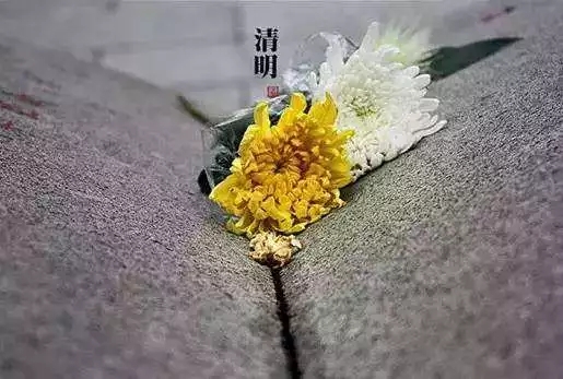 今日清明_|_感怀亲恩，让我们为历代宗亲祈愿！