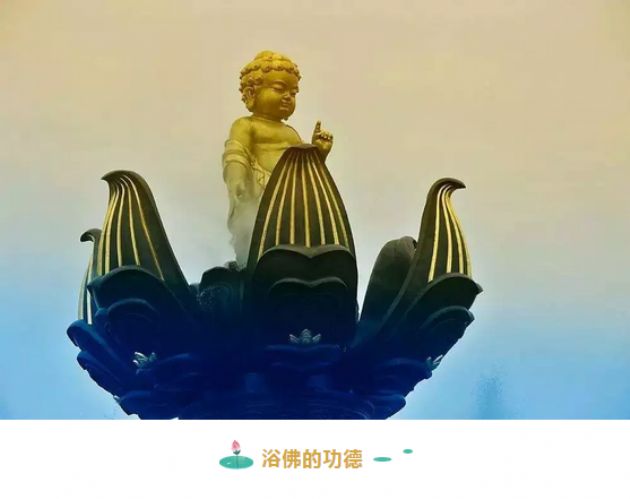 浴佛节_|_恭迎释迦牟尼佛圣诞日!同沾法喜,共沐佛恩! 浴佛节_|_恭迎释迦牟尼佛圣诞日!同沾法喜,共沐佛恩!