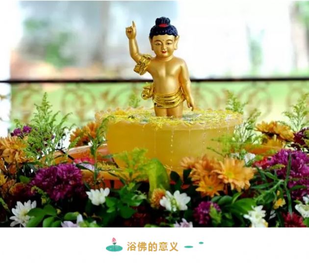 浴佛节_|_恭迎释迦牟尼佛圣诞日!同沾法喜,共沐佛恩! 浴佛节_|_恭迎释迦牟尼佛圣诞日!同沾法喜,共沐佛恩!