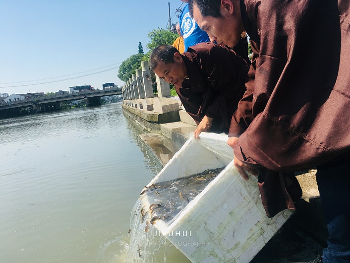 明日,积福慧启建庚子年第十期放生共修!随喜参加! 明日,积福慧启建庚子年第十期放生共修!随喜参加!