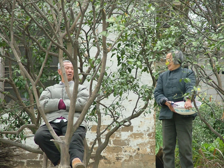 八十的老人家