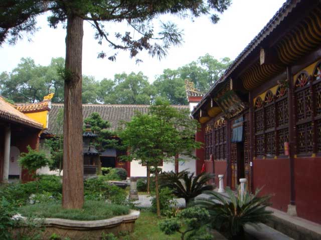 ea_200975161629.jpg