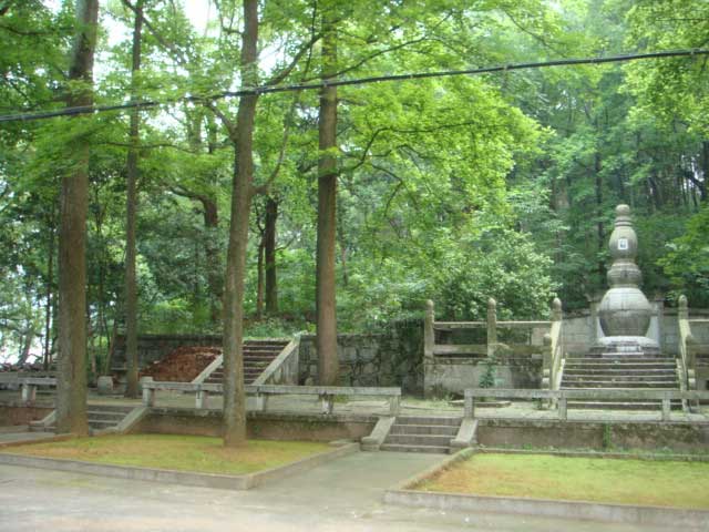 ea_200975161633.jpg