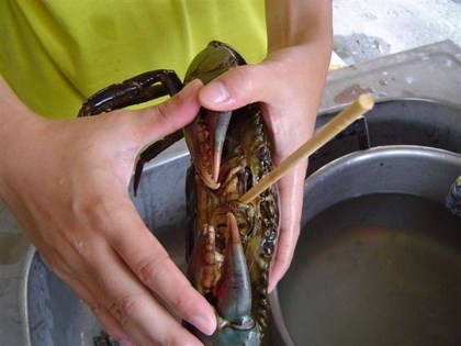 吃肉杀生因果不虚