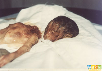 点此在新窗口浏览图片