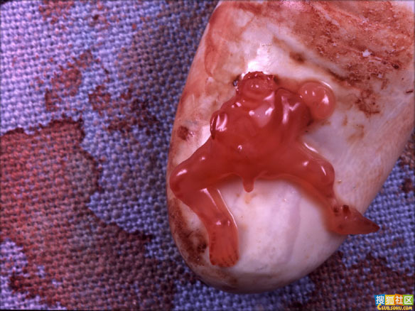 点此在新窗口浏览图片