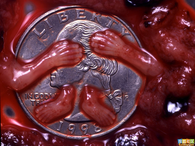 点此在新窗口浏览图片