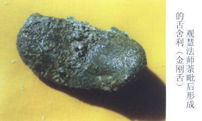 专持《金刚经》的当代高僧留下金刚舌舍利(照片) - 莱芜 德广的日志