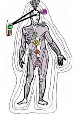 你身边什么物件辐射最强?(组图)