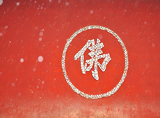 杨洪佛教摄影作品