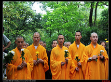 洞庭禅源佛教摄影作品