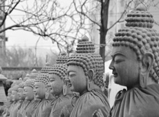 小斯佛教摄影作品