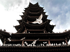 大鹏佛教摄影作品