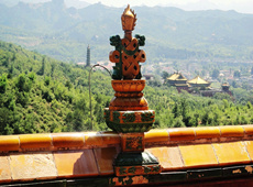 菊梦佛教摄影作品