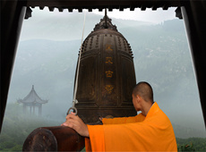 驴中疯驴佛教摄影作品