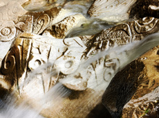 笑弥驮佛教摄影作品