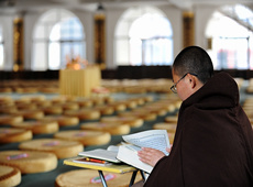 林森佛教摄影作品