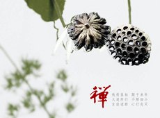 恋恋风尘佛教摄影作品